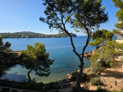 Apartment in Calvià (Santa Ponsa) with 45 m² built surface, 5 m² terrace, 1 room, 1 bathroom, 15... — photo 1