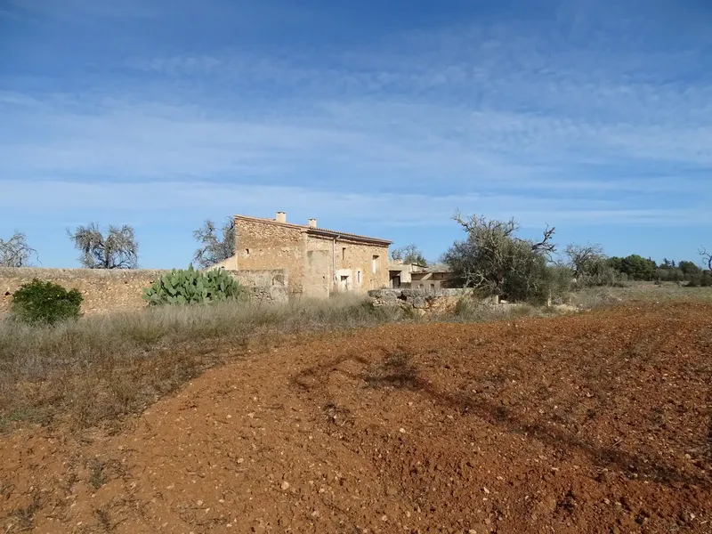 Estate of more than 22,000 m2, located between Campos and Santanyi, within the municipality of Campos, about three kilometers from the village of Campos — photo 9