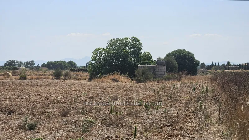 Rustic estate for sale in Muro, in the Son Mieres area — photo 6