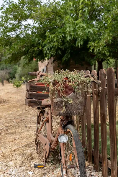 Discover the authentic essence of the Mallorcan countryside with this charming rustic finca located in Lloseta, enjoying spectacular views — photo 12