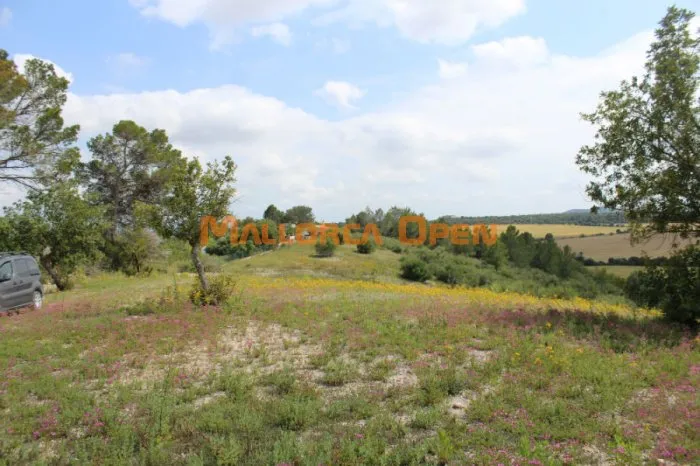 Rustic land for sale in Villafranca — photo 1