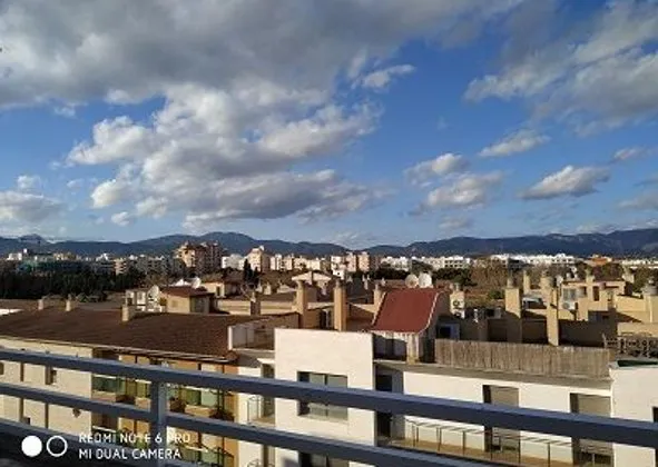 Penthouse in Calle Miguel Capllonch, Camp Redo, Palma de Mallorca — photo 2