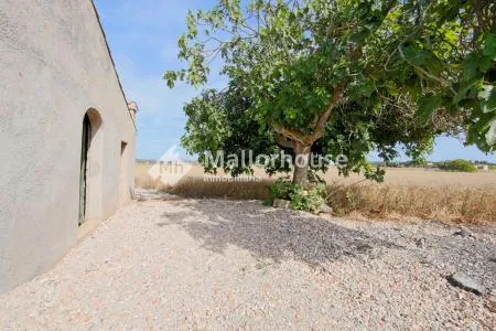 Urbanizable land - Muro (Son Serra), Plot Surface 15,324 m² — photo 7