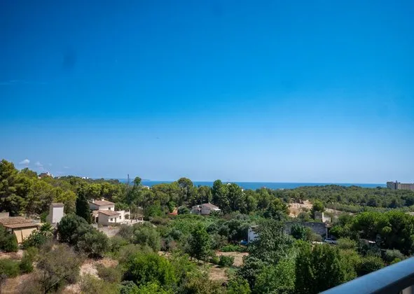 Penthouse in Camino dels Reis, Genova, Palma de Mallorca — photo 2