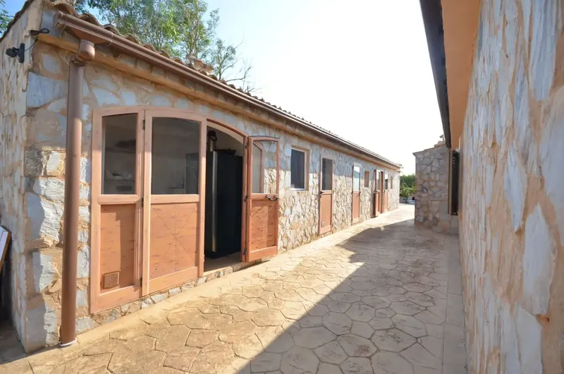 Rustic House in Santa Eugenia!!! Only 15 minutes from Palma. — photo 7