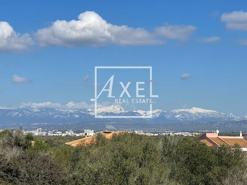 Small plot near Porreres, very good arable land — photo 5