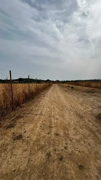 Plot of 3000 m2, urgent sale due to relocation to the mainland — photo 8