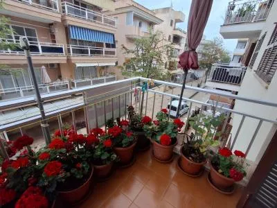 Flat - Son Servera (Cala Millor) — photo 6