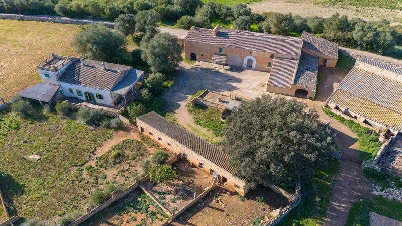 Fantastic finca in Vilafranca de Bonany with project and building license, large plot for investors — photo 4
