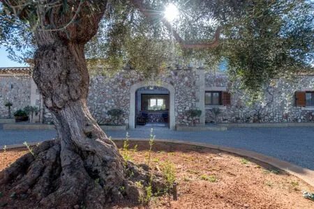 Rustic property - Llucmajor (Llucmajor (Campo)), Built Surface 629m², Plot Surface 20243m², 4 Bedrooms,... — photo 7
