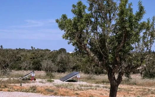 New build design finca in Ses Salines – relaxed luxury and clear architecture — photo 10