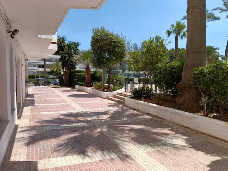 3 premises for sale together in Siesta 3 — photo 8
