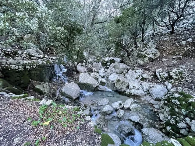 Finca/Country House for sale in Escorca, Mallorca — photo 10