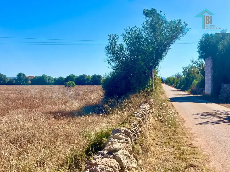 Discover the opportunity of a lifetime in Campos, Mallorca! — photo 4
