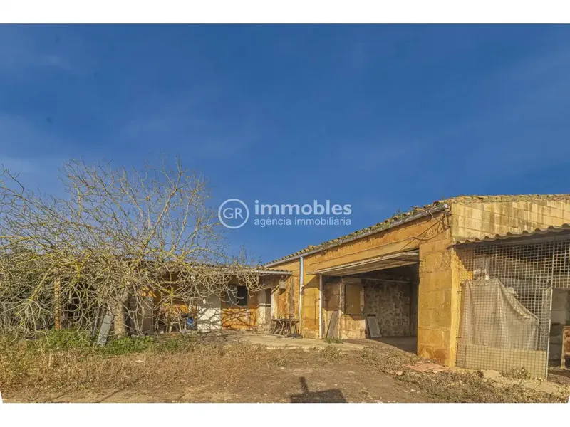 Rustic estate for sale of 14,186 m² with main agricultural use, located in a quiet and natural environment, less than 1 km from Muro, in direction — photo 4