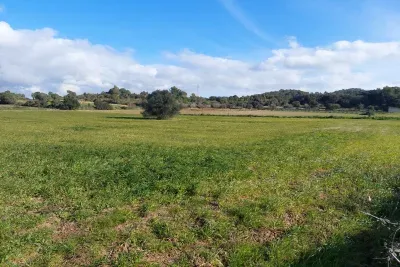 Building plot for sale in Manacor — photo 1