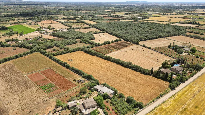 Unique plot of over 17,000 m² – Build your project in Mallorca — photo 9
