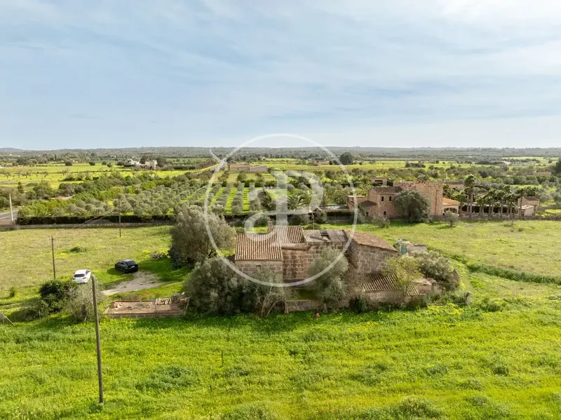 Casa rústica con jardín en venta en Son Rango — photo 7