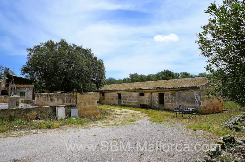 Finca in Vilafranca de Bonany - Country Mansion, Finca XXL — photo 9
