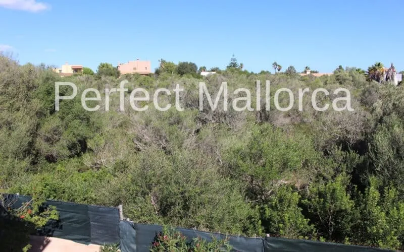 Detached house with pool and heating in Cala Murada — photo 11