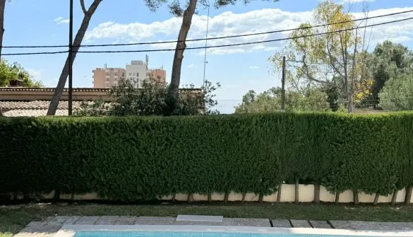 Apartment in Sant Agustí — photo 1