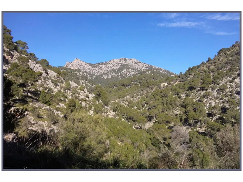 Land - Ref. [redacted] — photo 1