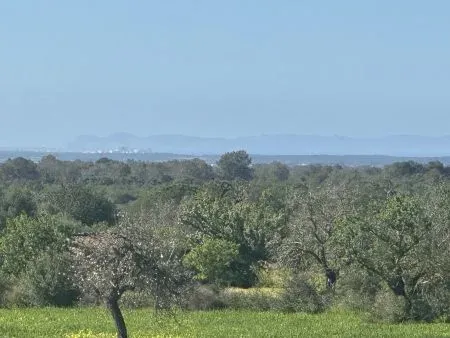 Fantastic building plot with views of the island of Cabrera — photo 3