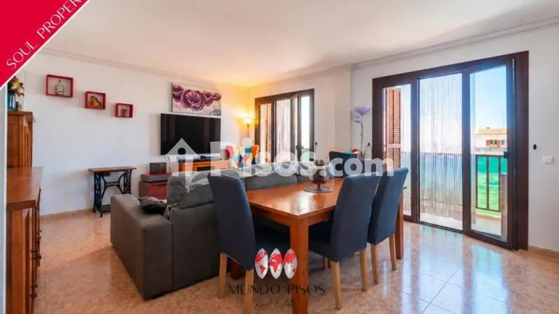 Apartment on Carrer D'en Jordi Des Racó — photo 2