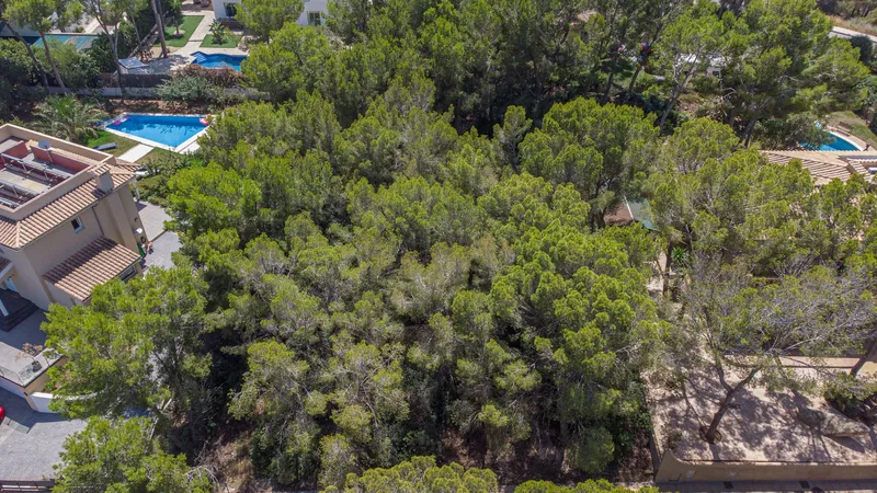 Project for turnkey villa with pool in Sol de Mallorca — photo 5
