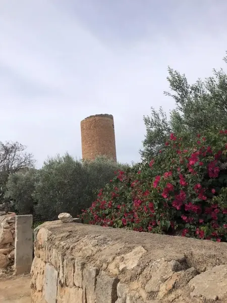 Fantastic finca in the emblematic town of Santanyi! — photo 1