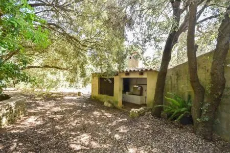 Rustic property - Puigpunyent (Puigpunyent) — photo 6