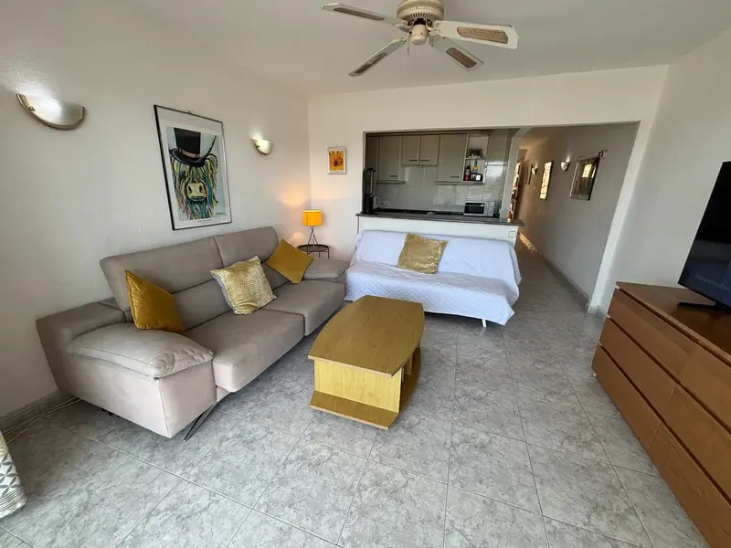 Apartment with terrace and sea views near the center of Santa Ponsa, next to the beach — photo 6