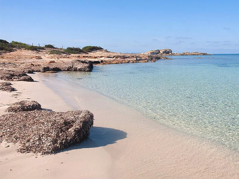 Fantastic newly built flat near the beach, Colonia Sant Jordi — photo 12