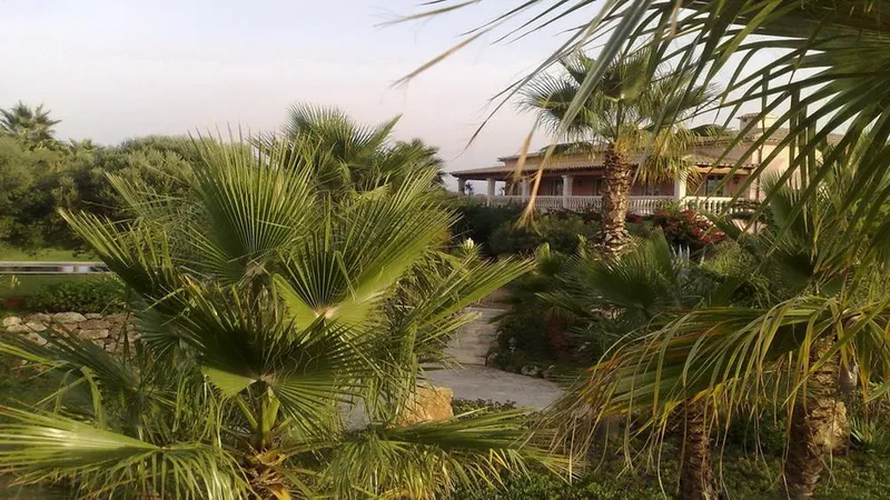 Rustic house for sale in Can Picafort of 1250 m2 — photo 11