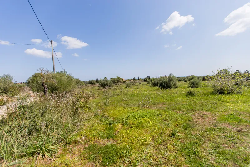 Plot with sea views 10 minutes from Porto Cristo — photo 2