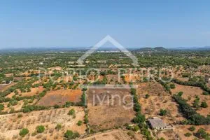 Ref. PRO230 – Spacious plot with project for a modern finca with various building volumes, floor-to-ceiling windows, garage, patio and pool in an idyllic neighborhood with excellent connectivity between Es Carritxo and Felanitx — photo 10