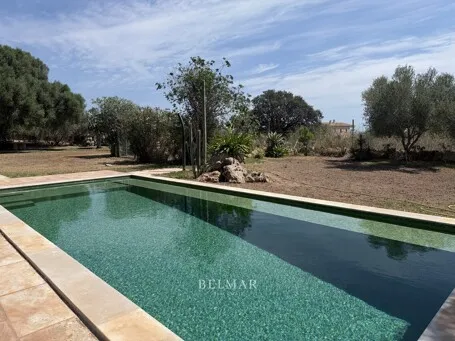 Rustic finca with an idyllic garden and pool between Son Carrio and Porto Cristo — photo 3