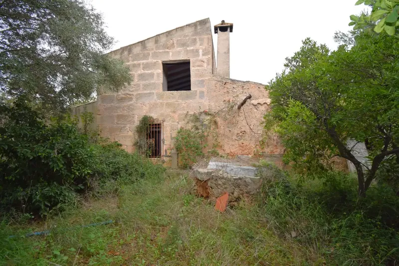 Rustic estate with a plot of 50,419 m² in Muro — photo 3