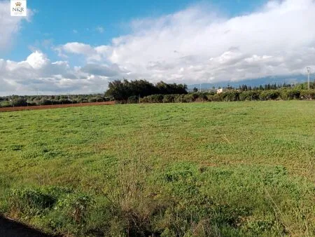 Rural Land - Llubí (Llubi), Plot Surface 3500m², Distance to the sea 15 Km. — photo 3