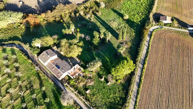 Spacious rustic finca for sale with occupancy certificate in Petra, on a plot of more than 19,000 m2 with especially fertile land — photo 2