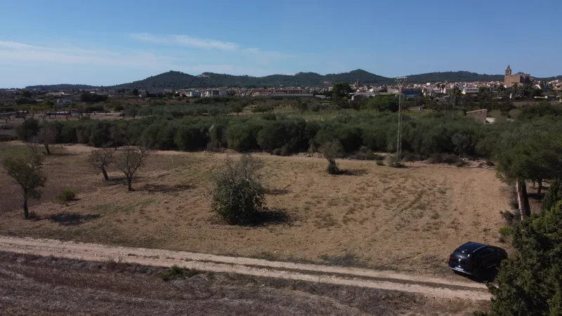 Rustic plot of 1,753 m² near Porreres — photo 10