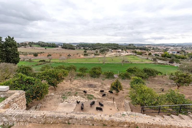 Country house for sale in Lloret de Vista Alegre — photo 10