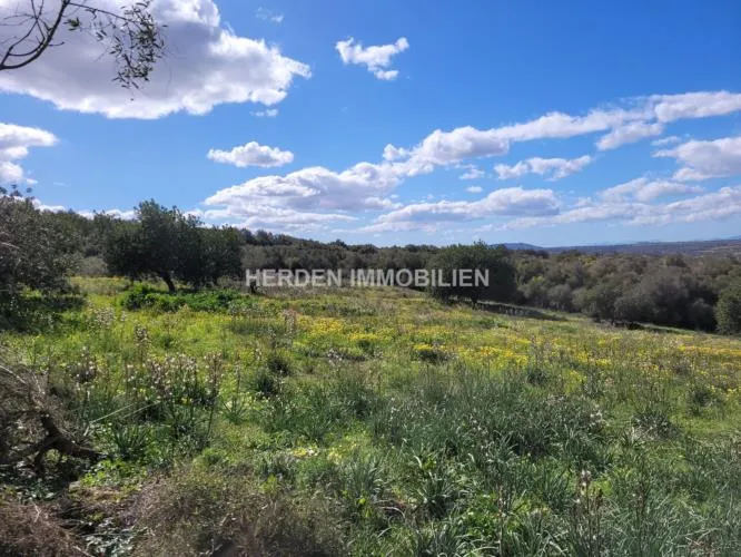 Building Plot for Sale in Manacor, Mallorca — photo 12