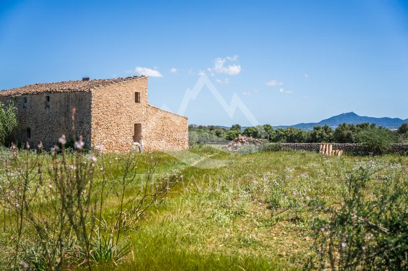 Old finca to renovate between Felanitx and Vilafranca — photo 11