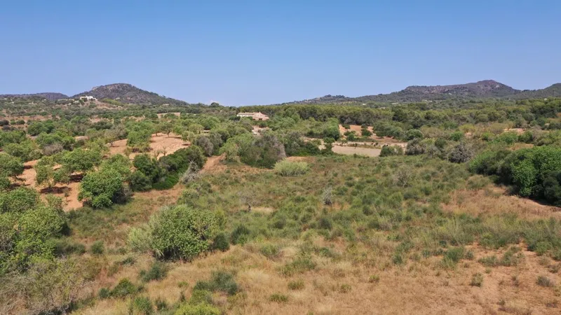 Nice plot with building license of about 330m2 in the area of Es Pujol in Alqueria Blanca — photo 3