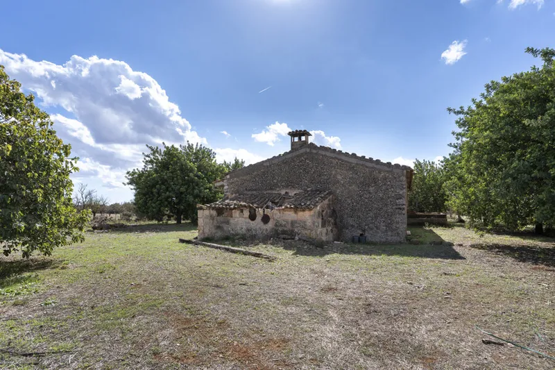 Exceptional Vineyard Plot with Approved License for Luxury Villa Construction — photo 4
