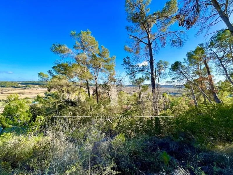 Villa in Sineu, Province of Balearic Islands — photo 10