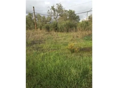 Rural Land - Llucmajor (Llucmajor (Campo)), Plot Surface 5965m² — photo 11