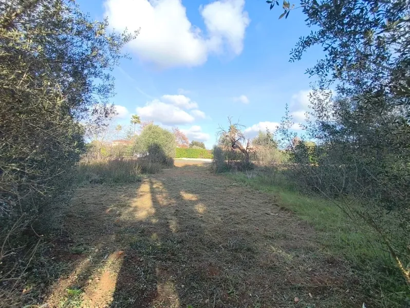 Rustic finca for sale on the outskirts of Inca - with project and valid license — photo 8