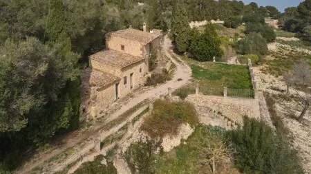 Rustic property - Llucmajor (Llucmajor (Campo)), Built Surface 1132m2, Plot Surface 171521m2, 5... — photo 3